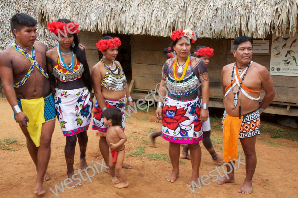 Embera Indian Village Of Parara Peru On The Westpix